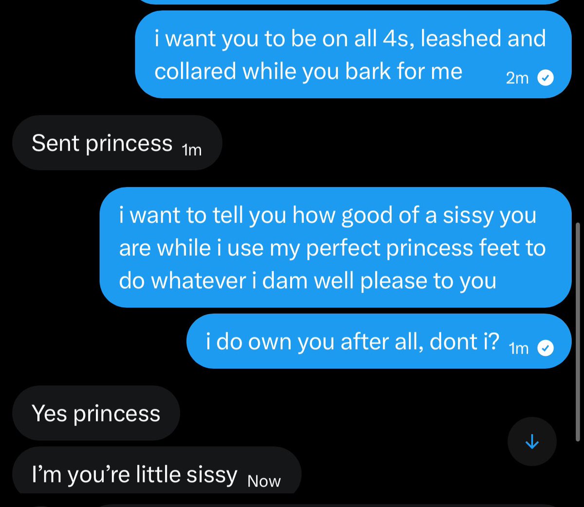 Princess Cassi (FINDOM) tweet media