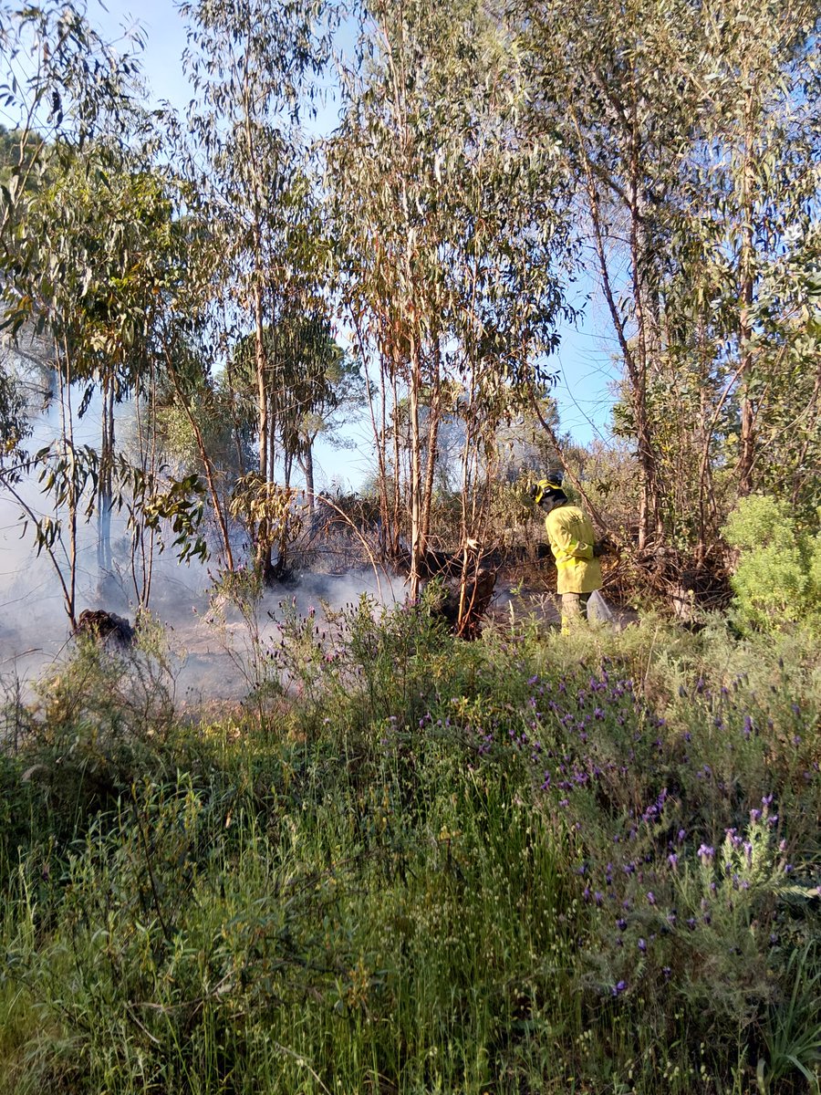 Plan_INFOCA's tweet photo. 🔴 Anotamos un incendio ya CONTROLADO en #IFBeas, Fuente de la Corcha (#Huelva).
MEDIOS:
🚒 1 autobomba
👩🚒 1 grupo de bomberos forestales https://t.co/98fW0Cdj4O