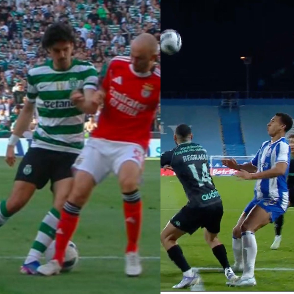 Pedro Alves 🌷 tweet media