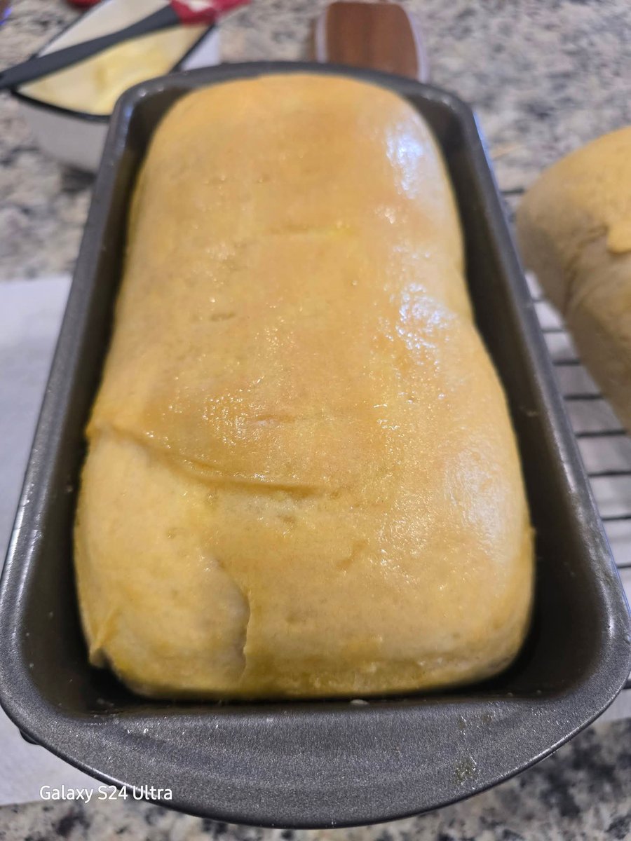 Backyard BBQ Heroes tweet media