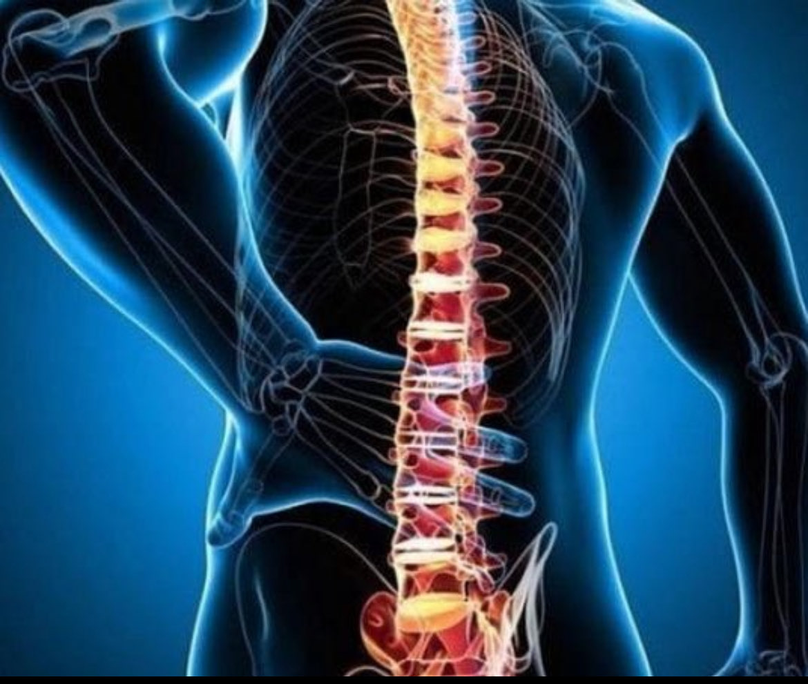 🧚🏻‍♀️ tweet media