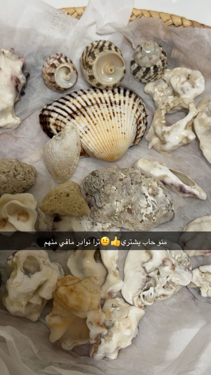 بنت مطير🤍🇰🇼🫶🏼الكويت🇰🇼 tweet media