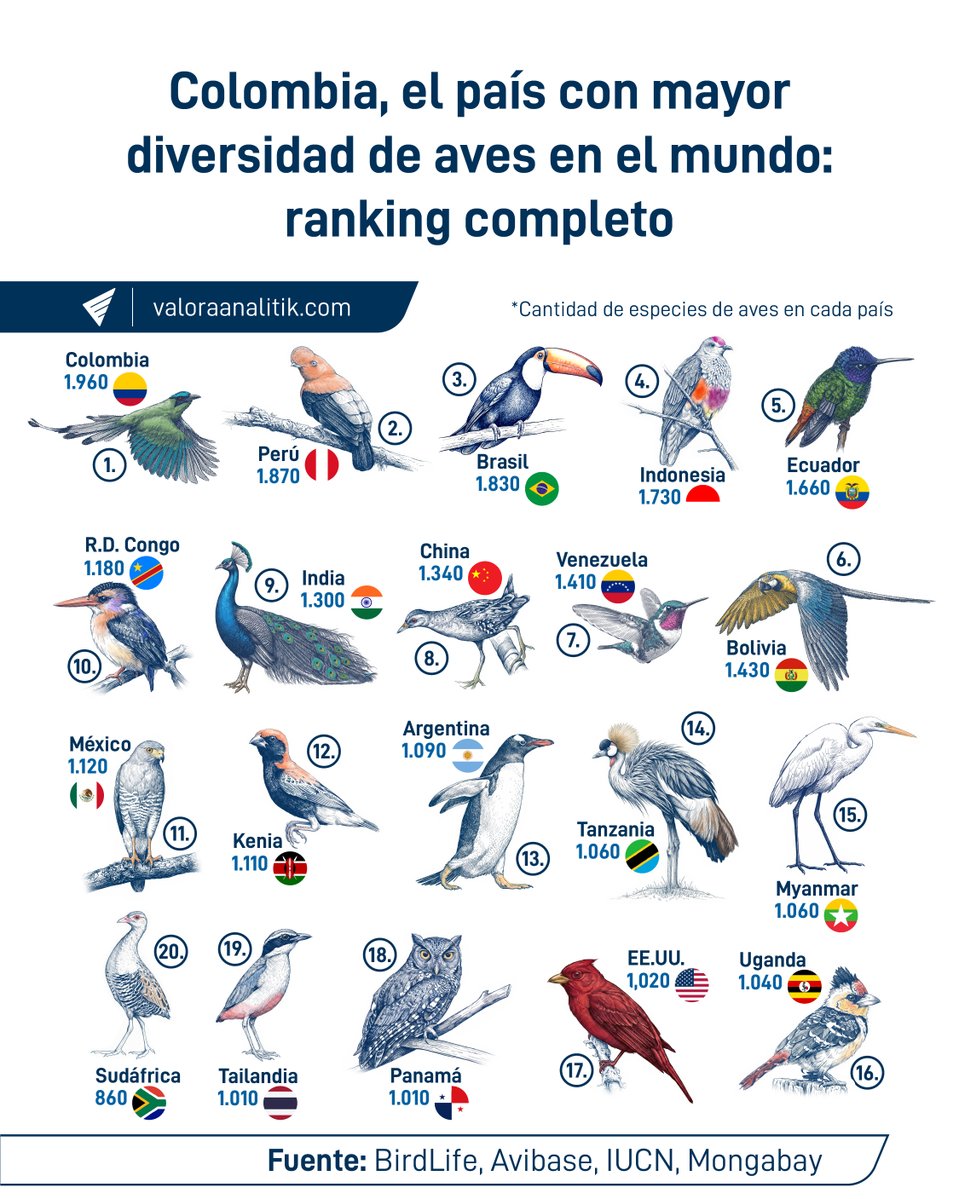 Valora Analitik tweet media