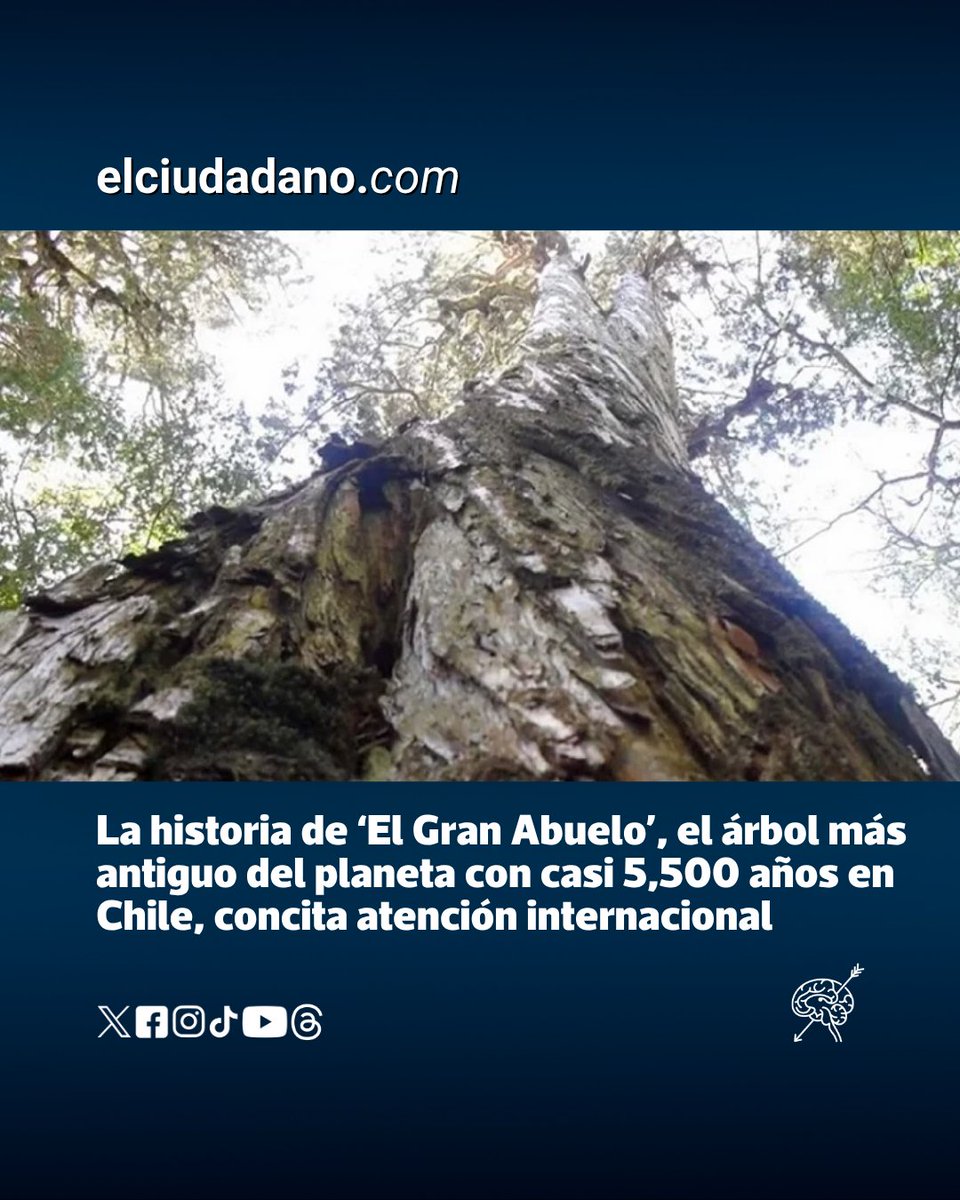 El Ciudadano tweet media