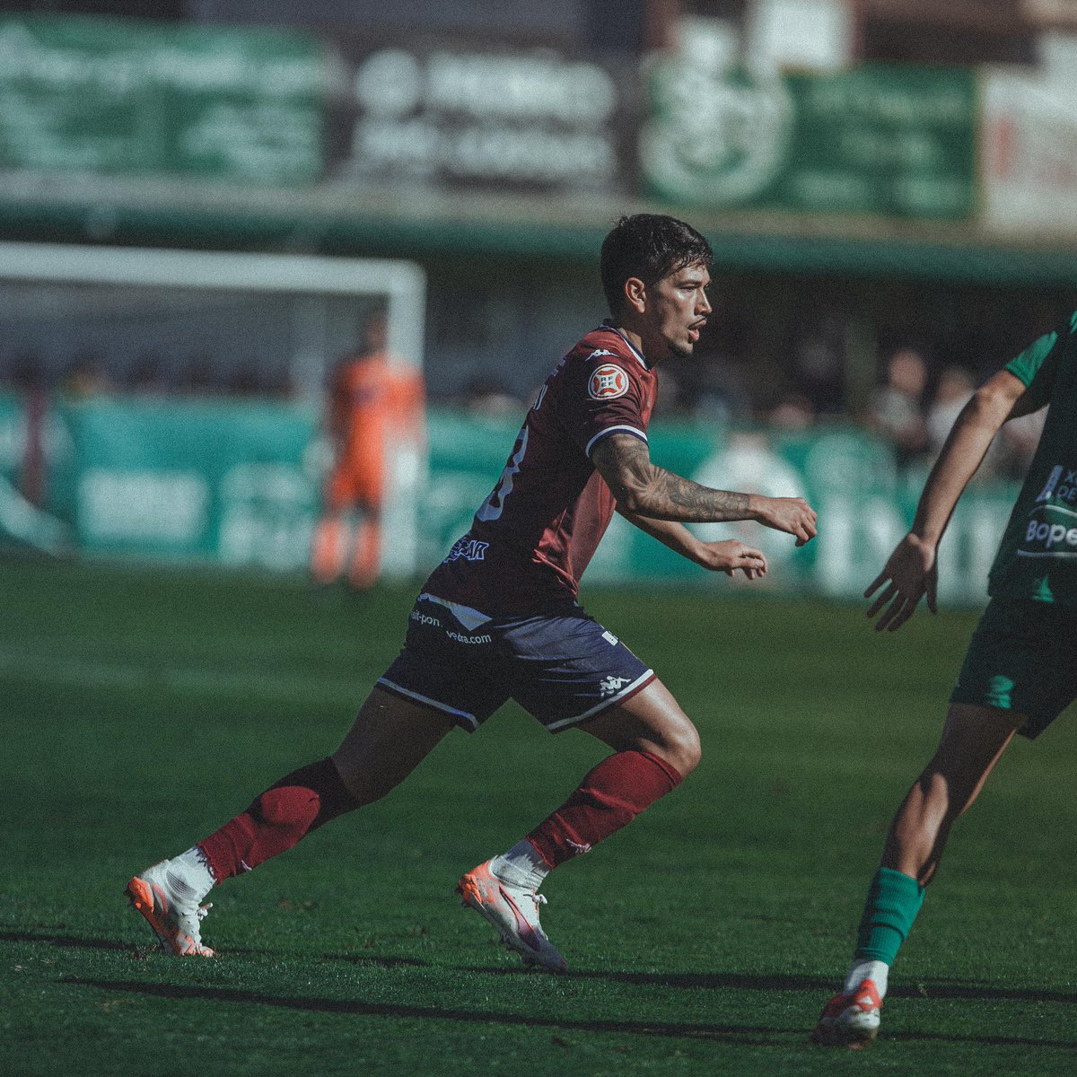 Pontevedra CF 🦴 tweet media