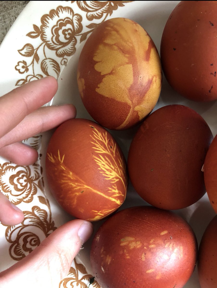 gypsy princess tweet media