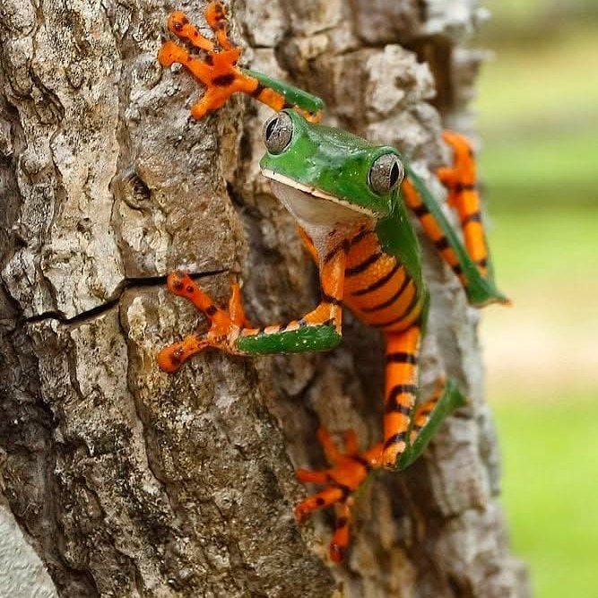 utktun's tweet photo. dear animals - save ecosystems as human
#SaveEcosystems https://t.co/GHBQVyaMVH
