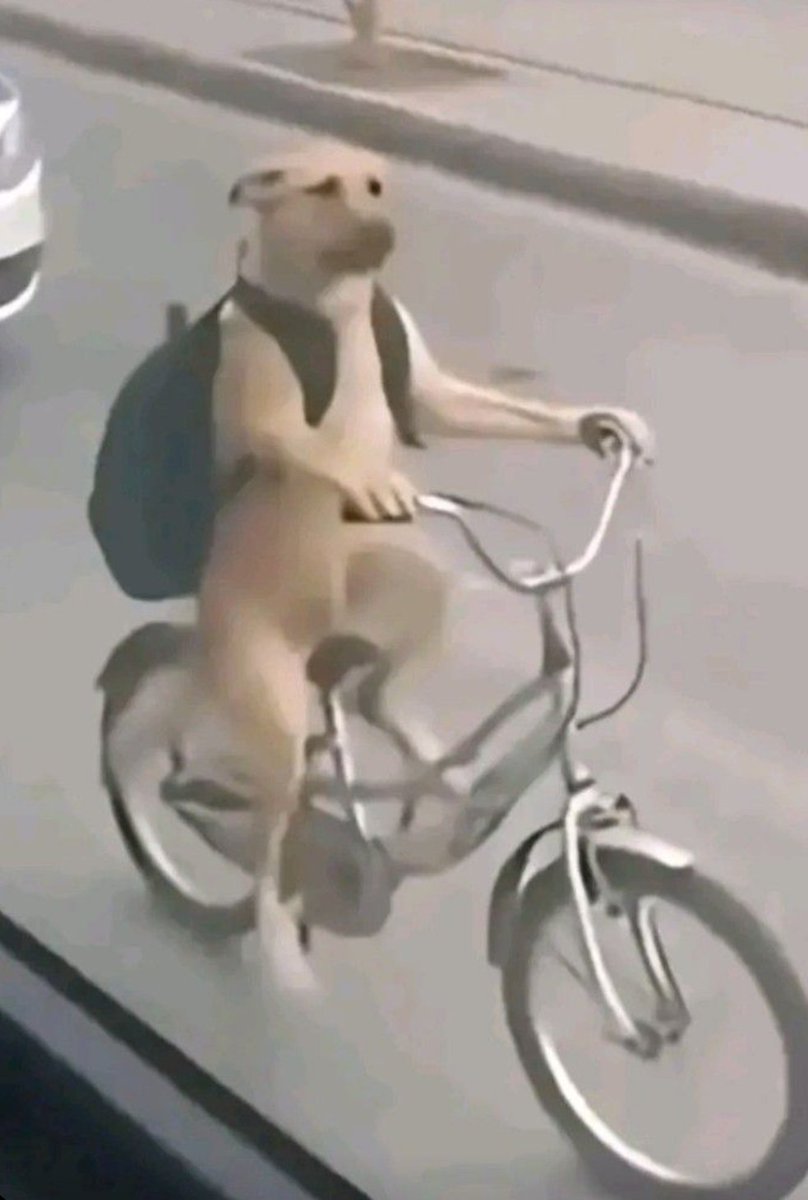 \|/Eijirou Kirishima\|/ tweet media