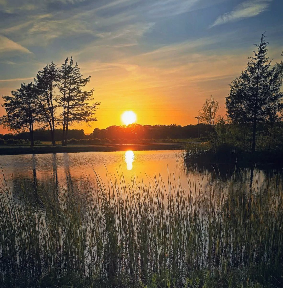 777_Freedom_777's tweet image. Last night at the pond. 🌅 #Arkansas