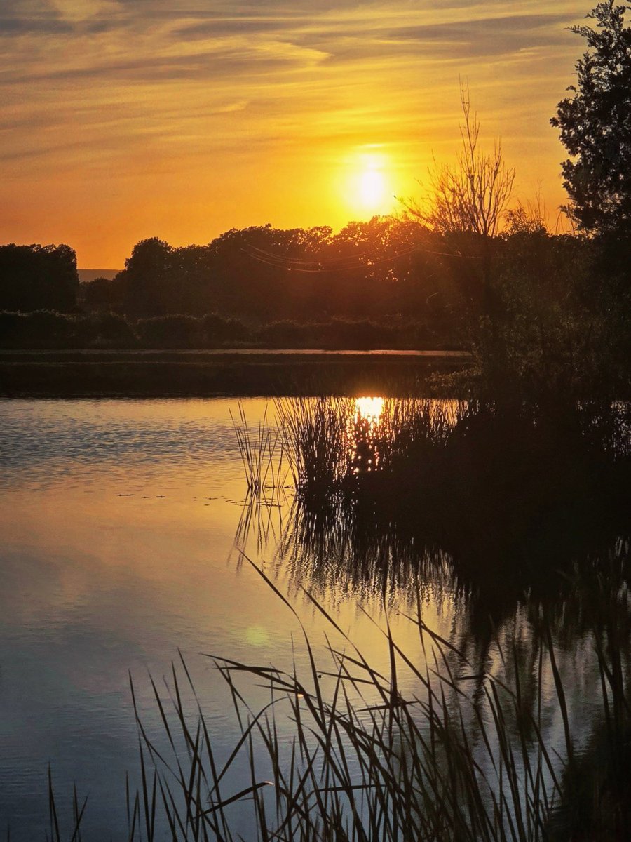 777_Freedom_777's tweet image. Last night at the pond. 🌅 #Arkansas