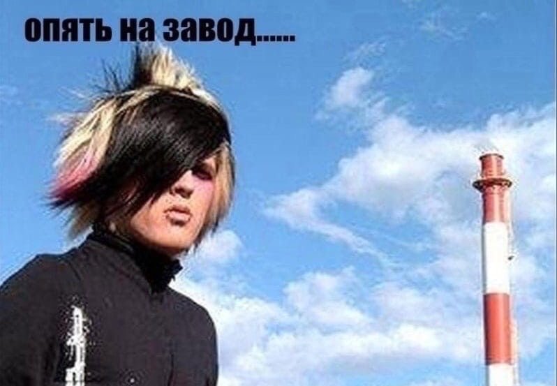 ardashir will save us tweet media