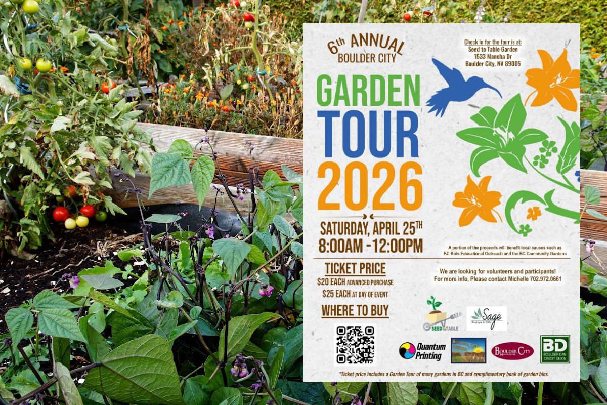 Boulder City Social tweet media