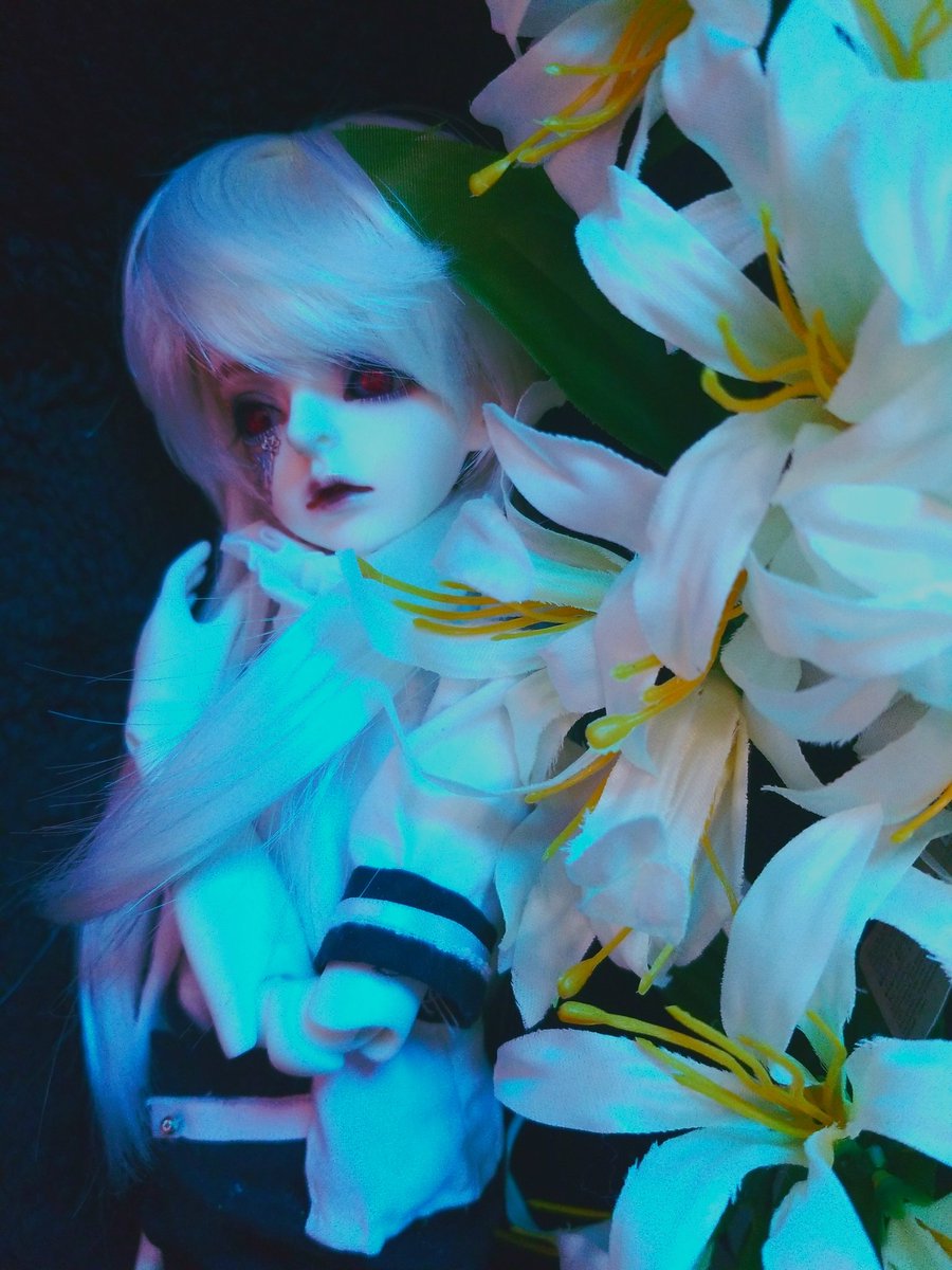 *Cxia-浩太*⌒*Doll垢 tweet media