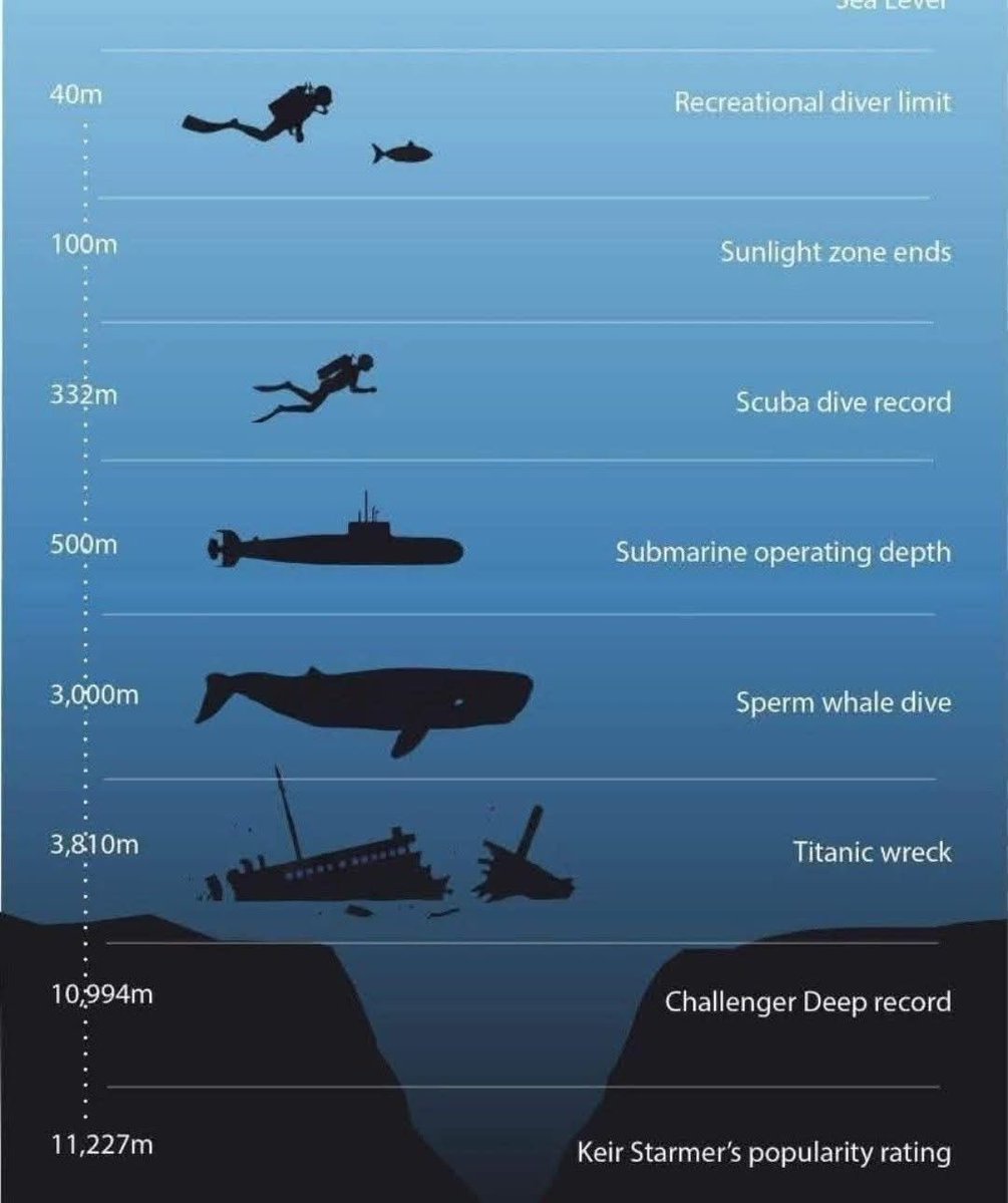 Darren Grimes tweet media