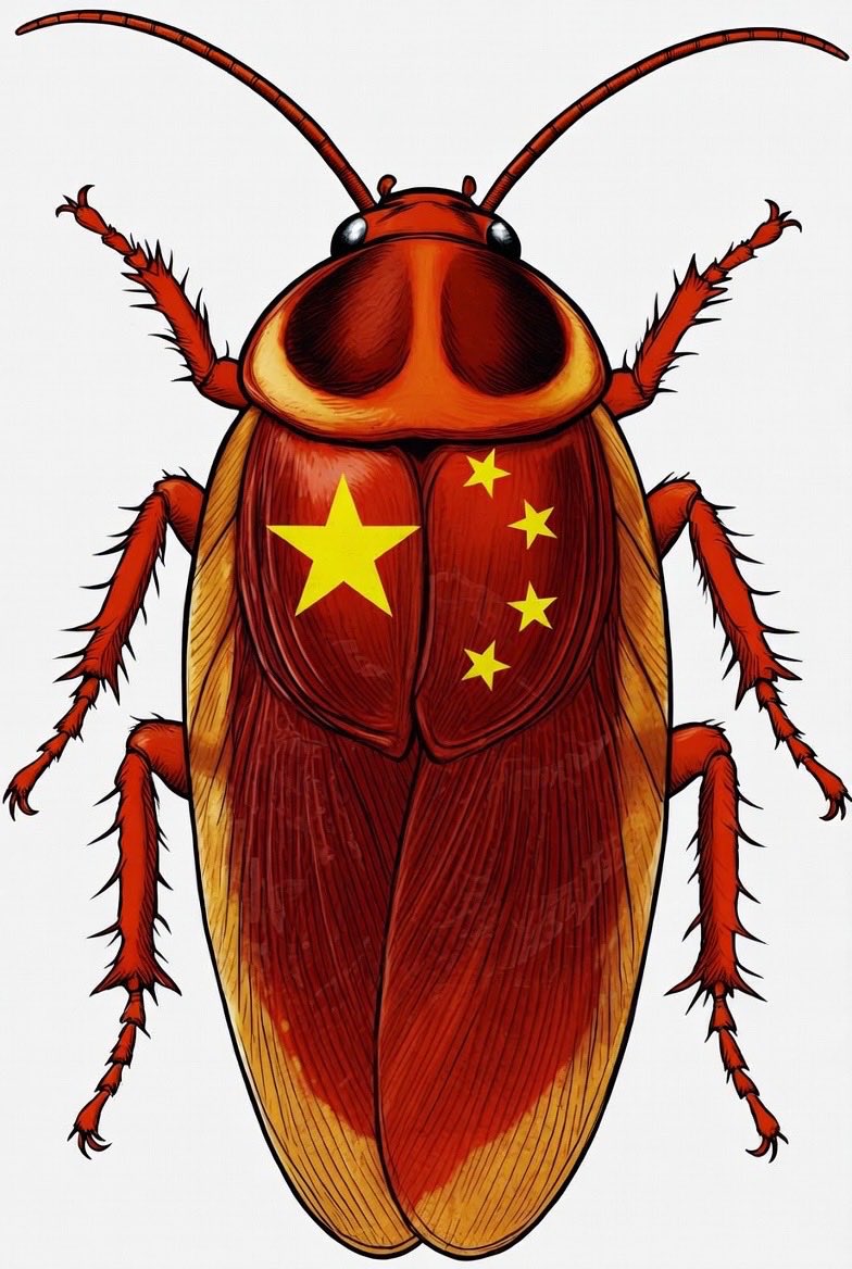 LuJun Quan tweet media