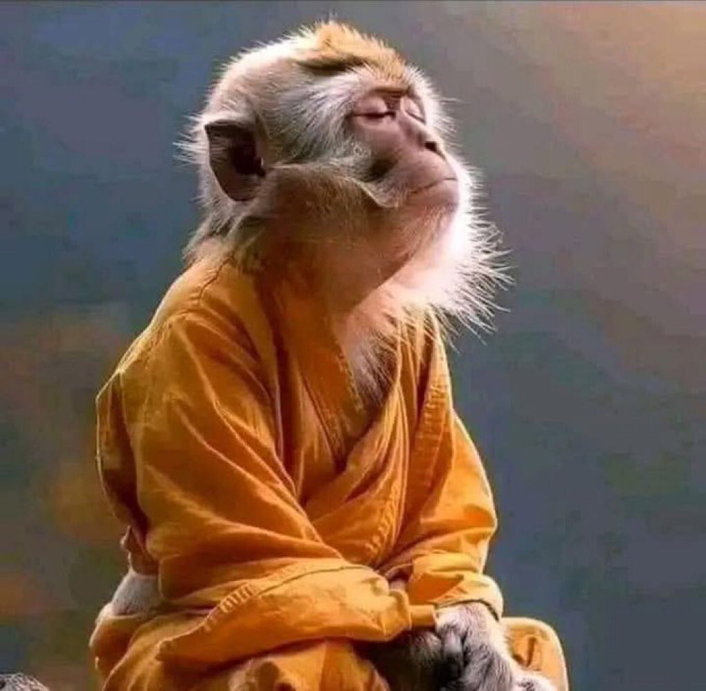 Apostle's Son ⭐️ tweet media