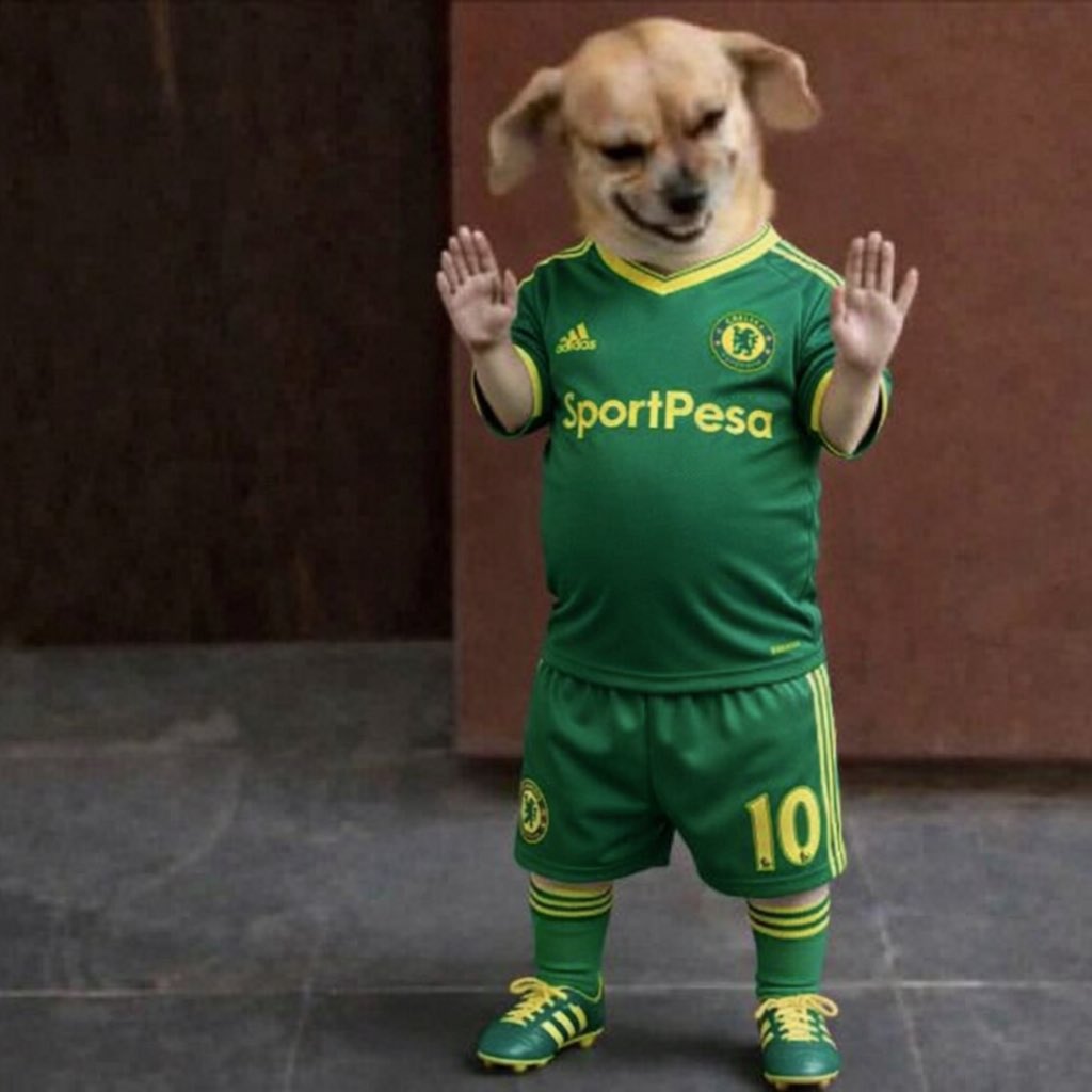 𝒇𝒓𝒆𝒅𝒚_𝒃𝒐𝒚360 tweet media