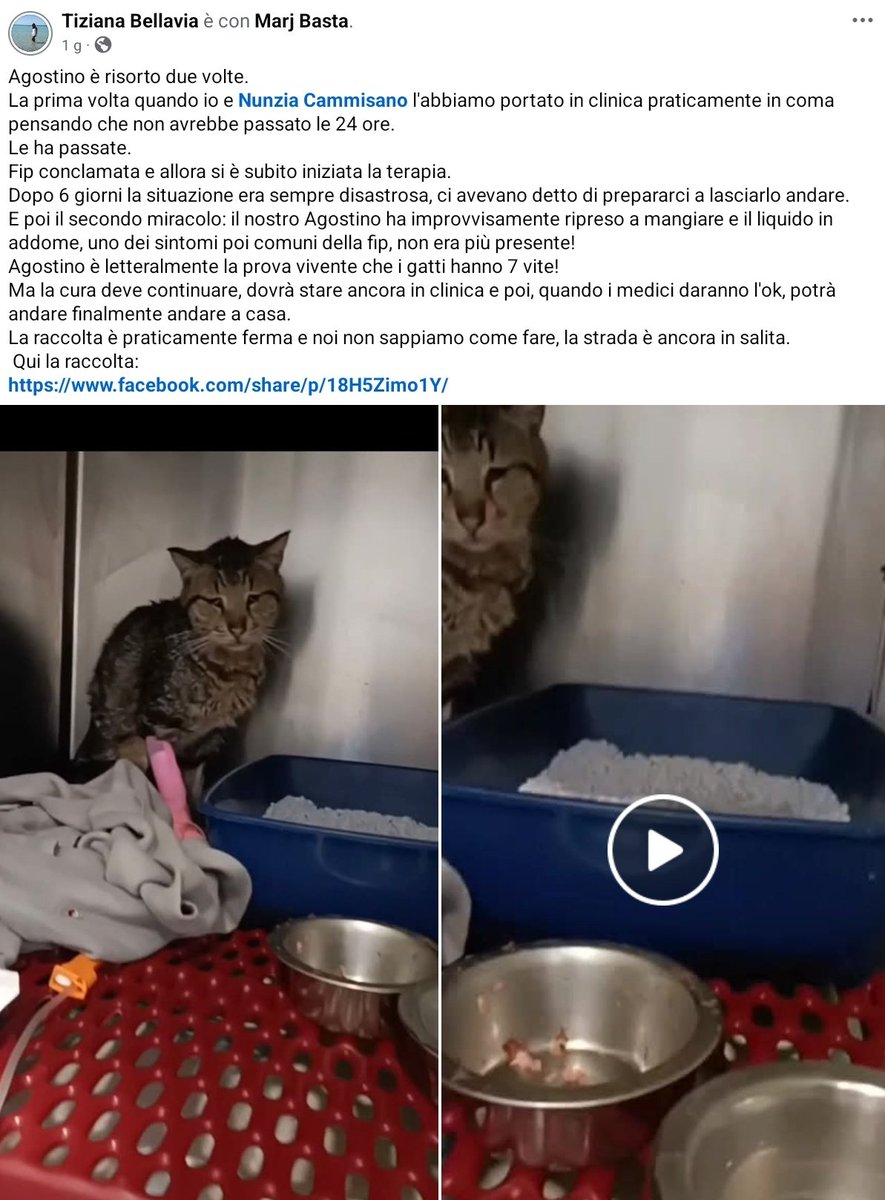 un atto d'amore odv tweet media