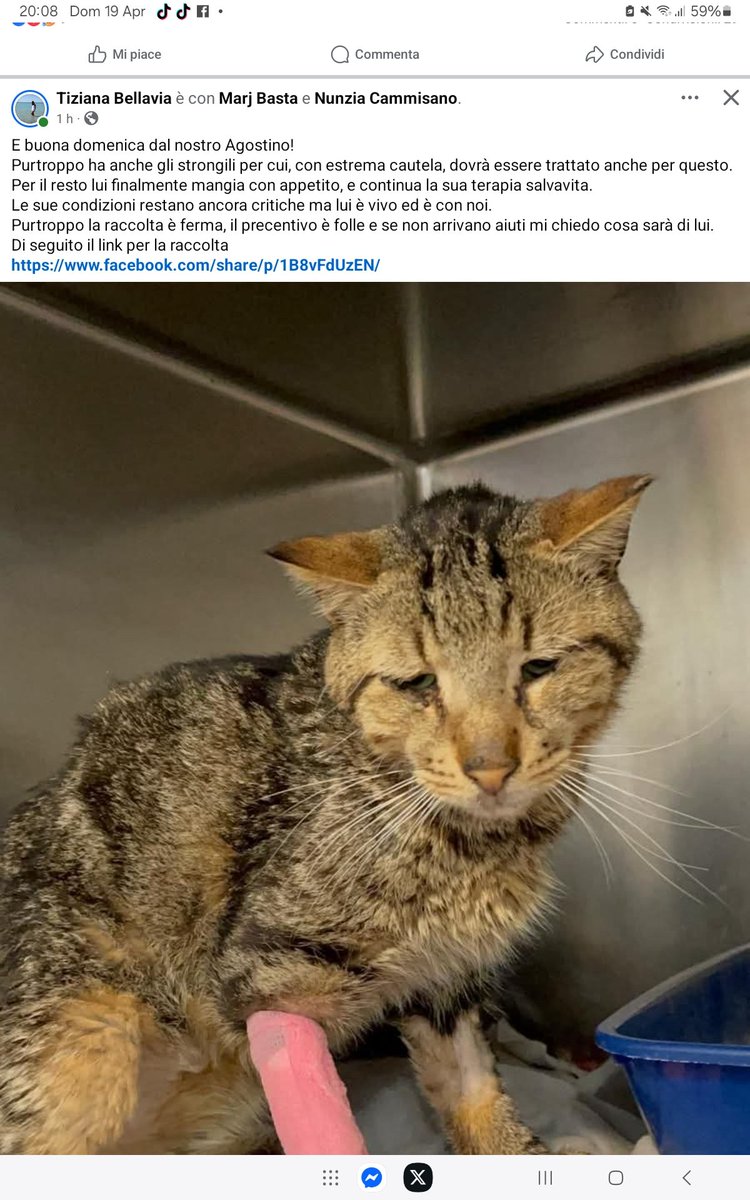 un atto d'amore odv tweet media