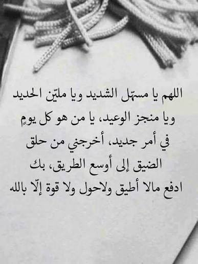 طارق محمد الزنكوي tweet media