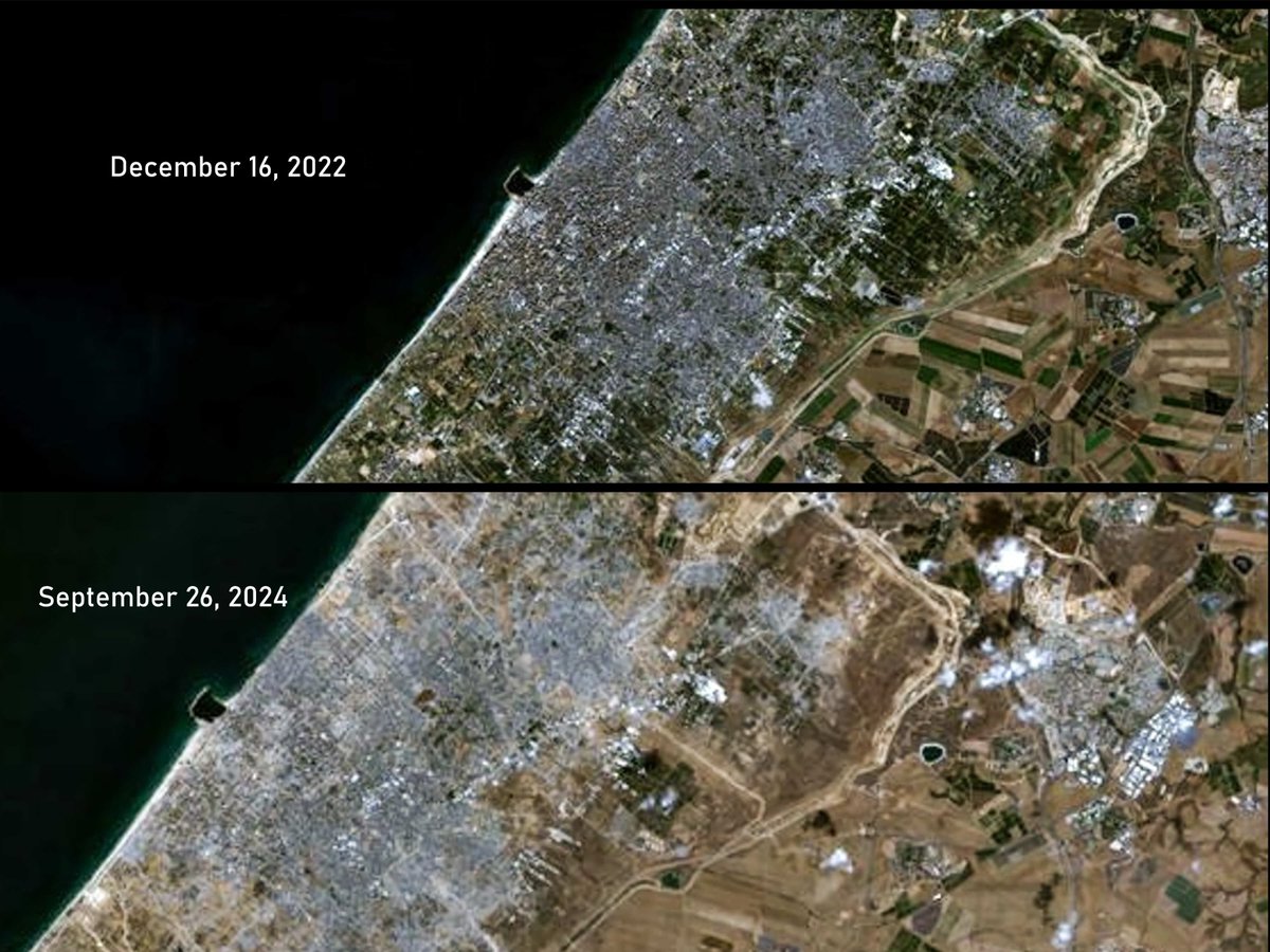 cool dog mowing lawn tweet media