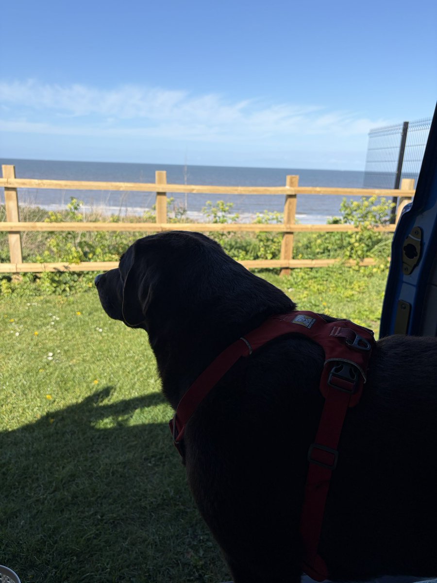 Becks and Charlie Brown tweet media