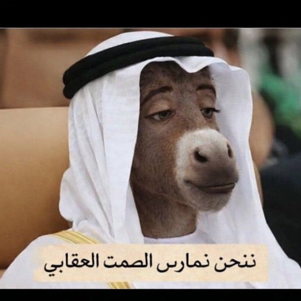 جوزاء tweet media