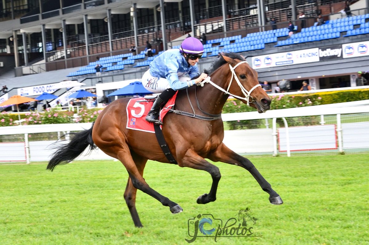 Mickaëlle Michel - ミカエルミシェル tweet media