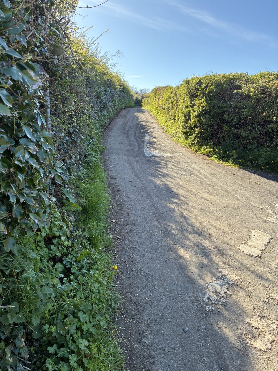 ladylittler's tweet image. Another motorhome ventured up our lane following satnav. It was extensively damaged. Why don’t people engage brain? 🧠 #Anglesey