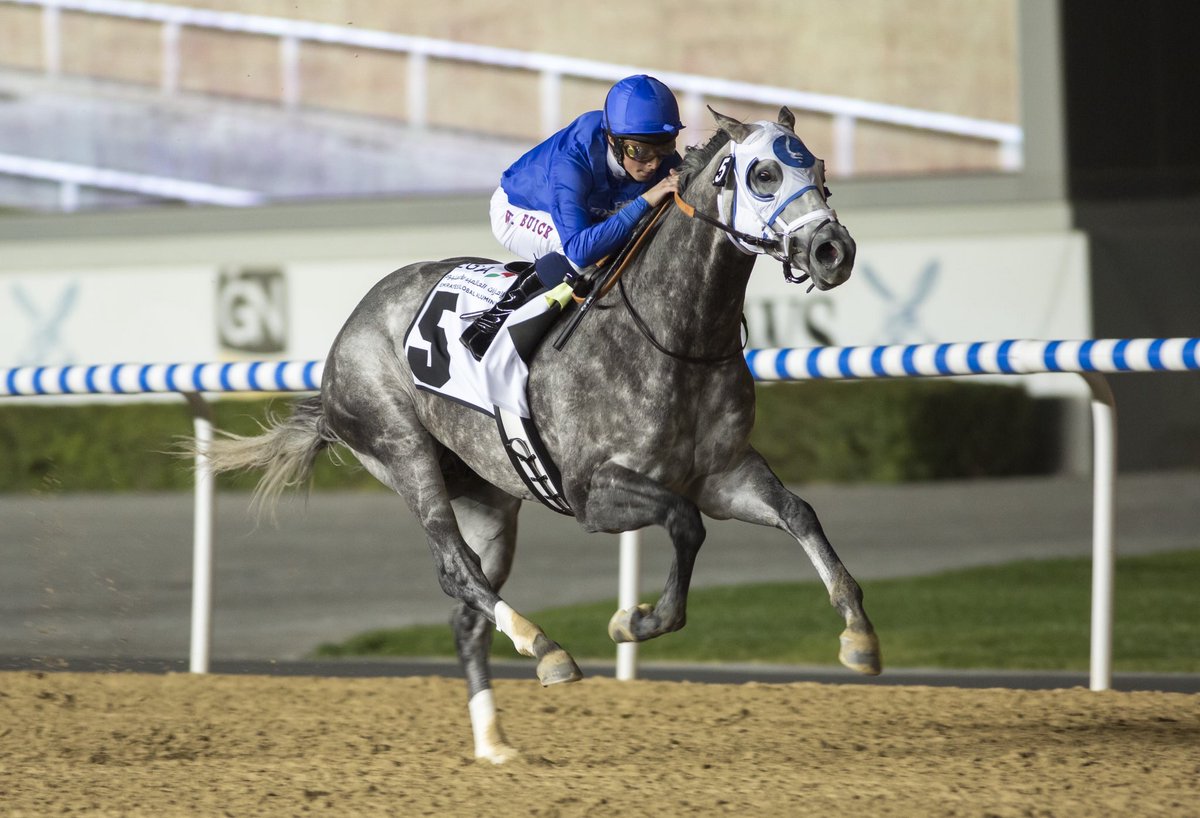 Dubai Racing Club tweet media