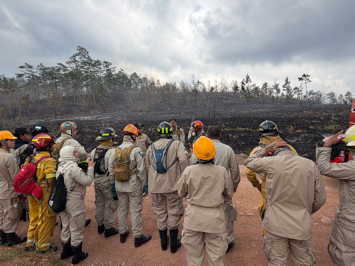 Instituto Nacional de Conservación Forestal tweet media