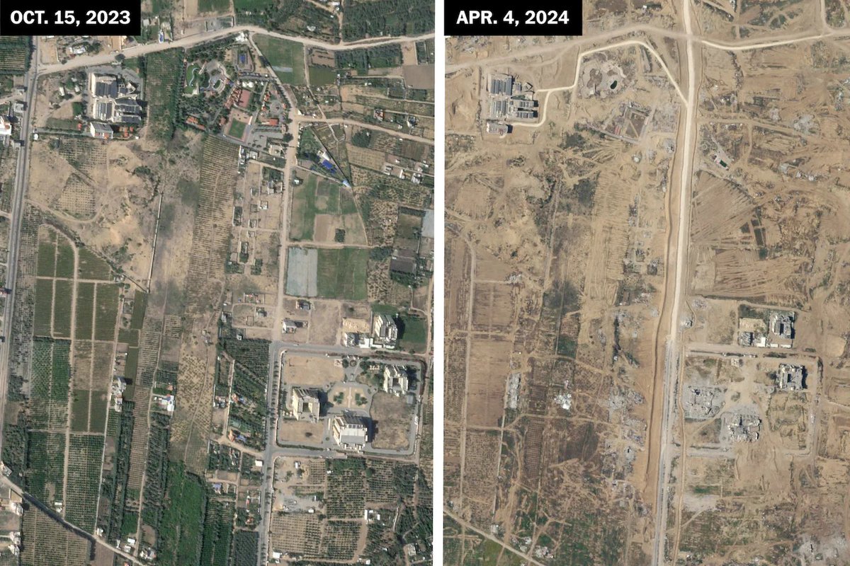 cool dog mowing lawn tweet media