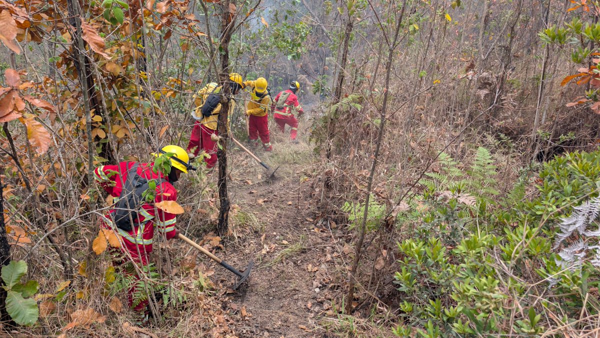 Instituto Nacional de Conservación Forestal tweet media