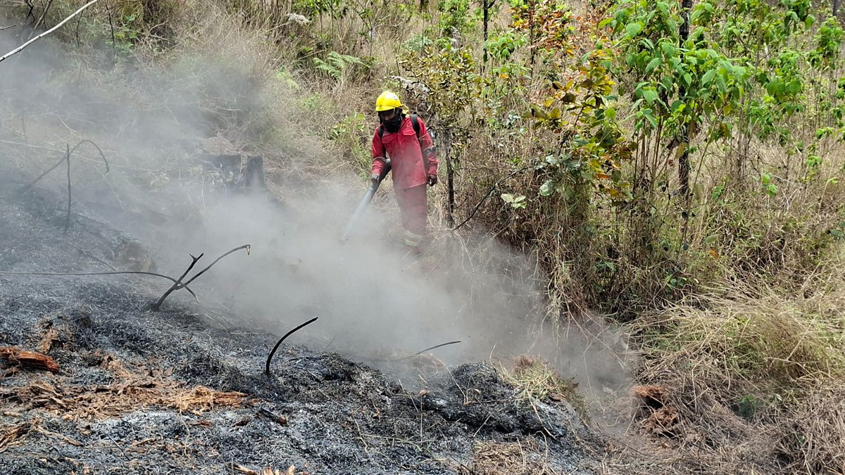 Instituto Nacional de Conservación Forestal tweet media