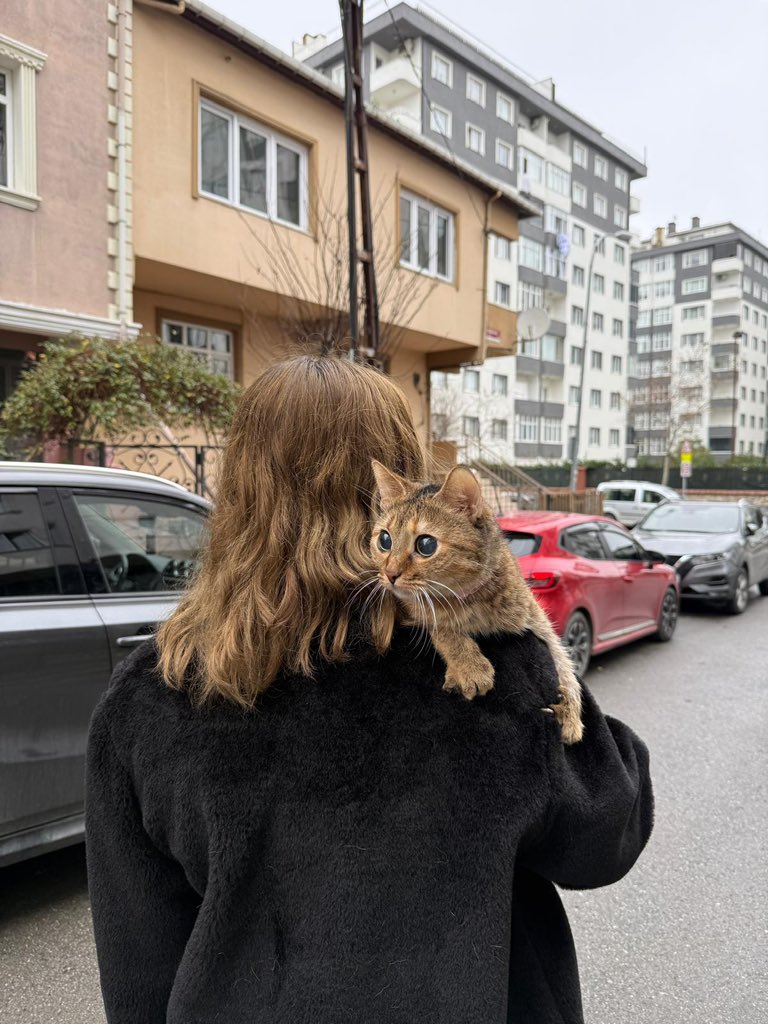 Zeynepbas28's tweet photo. En yakın arkadaşım seni kaybetmek kalbime bıçak saplanmasıyla aynı his seni cok özledim yaşattığın 5 sene için teşekkür ederim umarım huzurla uyursun. 🤍 https://t.co/UxPjJngSWB