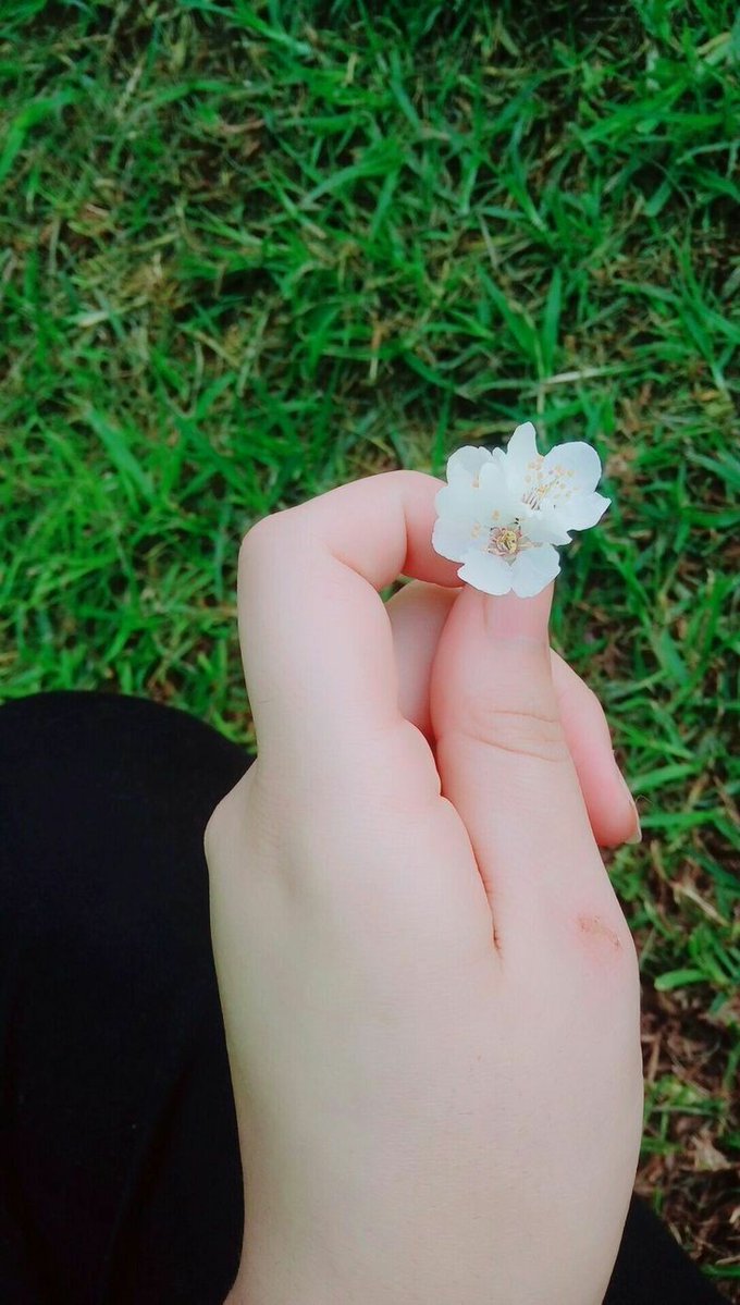 🕊ســہيلينــہ ⵙⵢⵍⵢⵏ🕊 tweet media