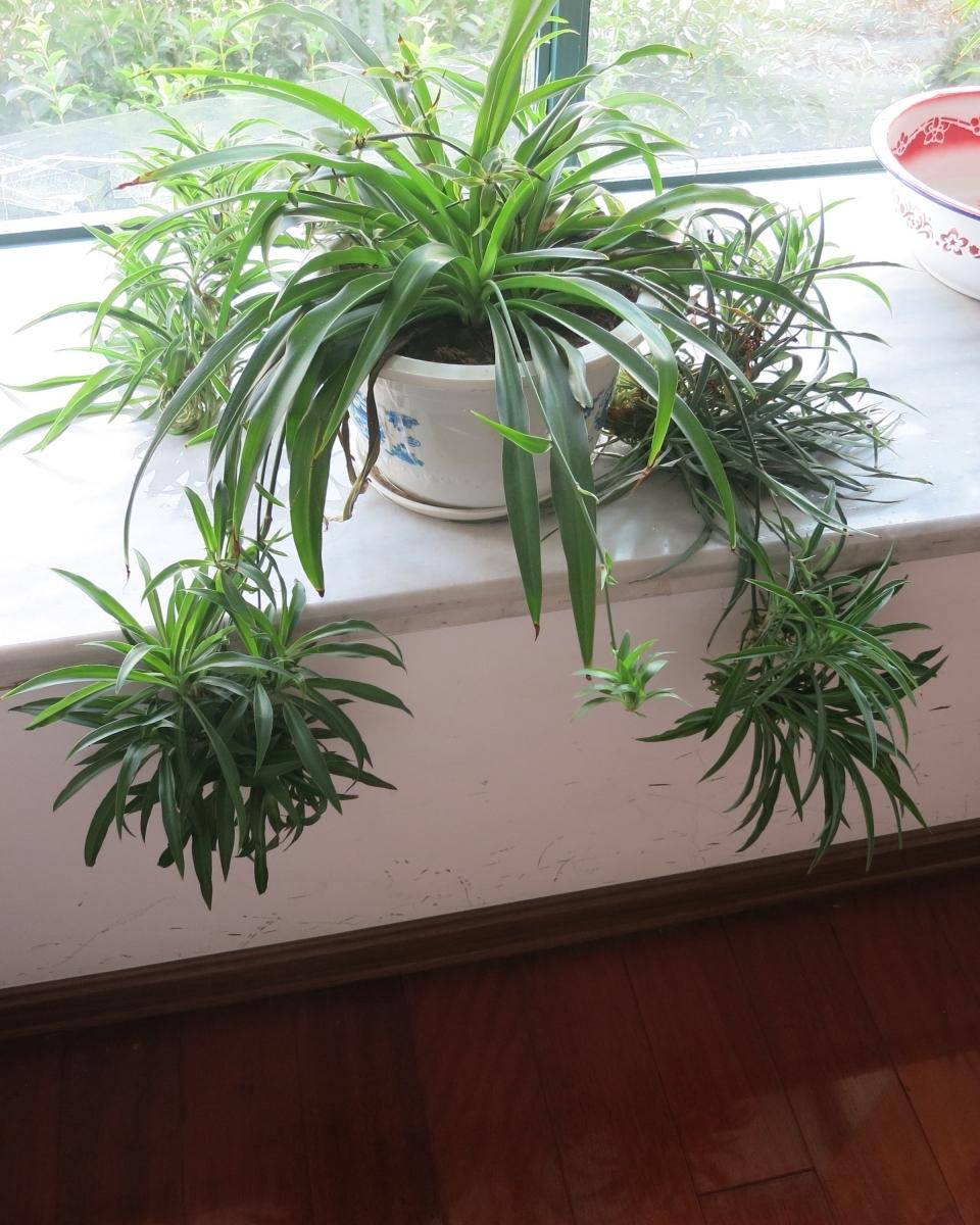 jack mckune tweet media