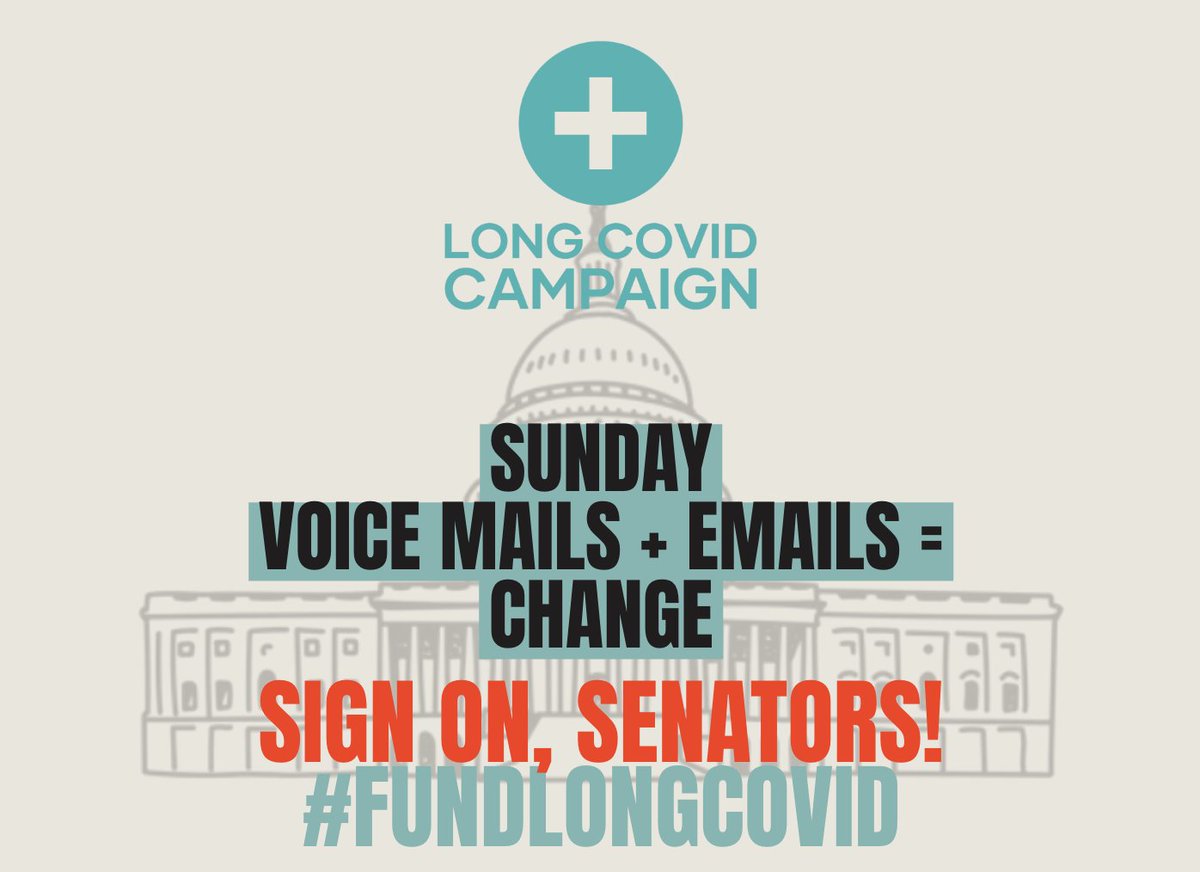 Meighan Stone tweet media