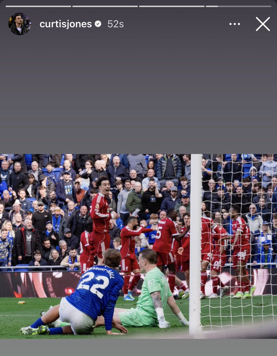 Braden (Fan) 🐦‍🔥 tweet media