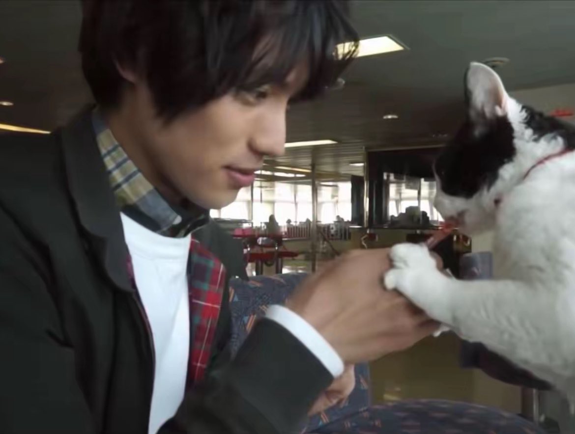 Mary go fund tweet media