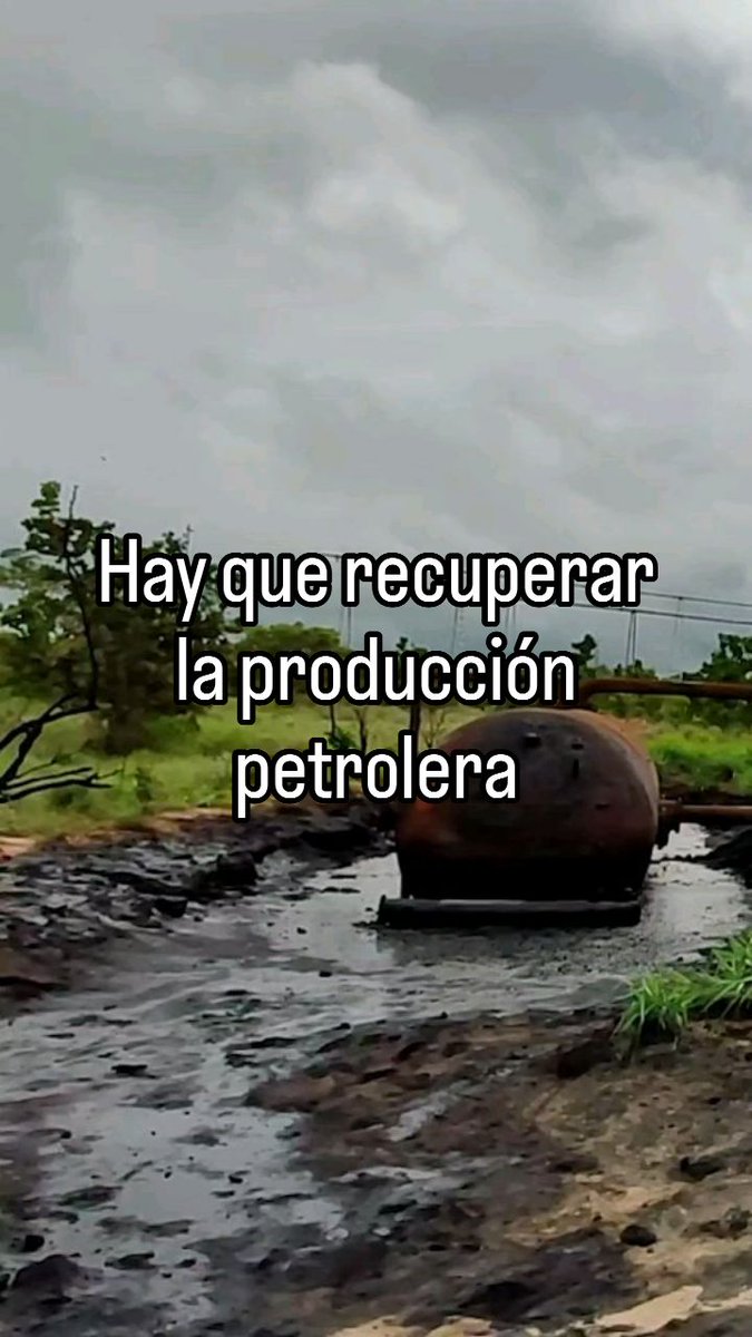 Pedro Pablo Fernández tweet media