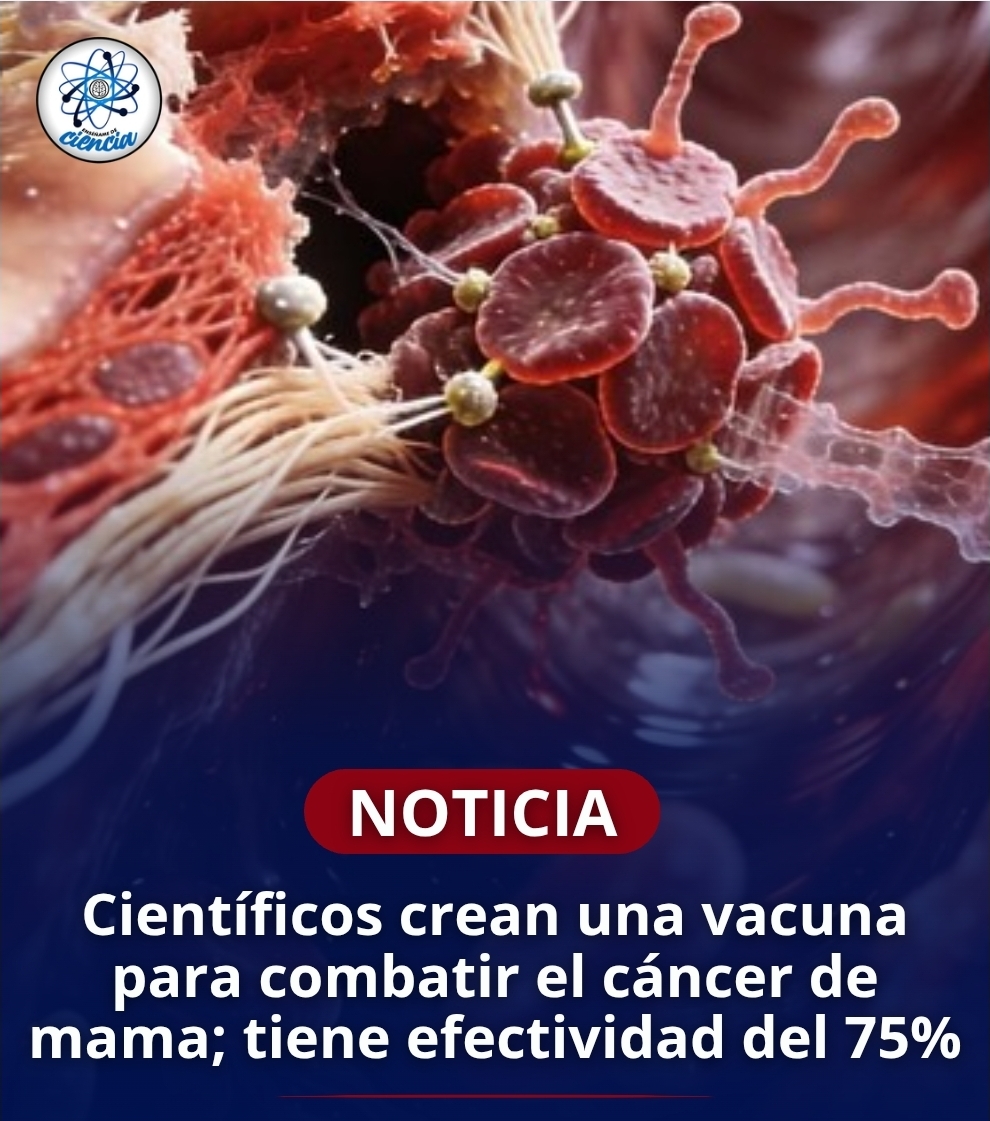La empresa Anixa Biosciences ha desarrollado la vacuna para entrenar al sistema inmunológico y de esta manera, pueda reconocer y eliminar células cancerosas antes de que estas puedan desarrollar tumores invasivos.