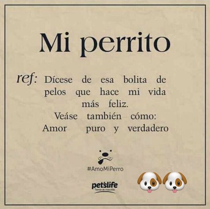 Maxi (@rey_latino33087) on Twitter photo 