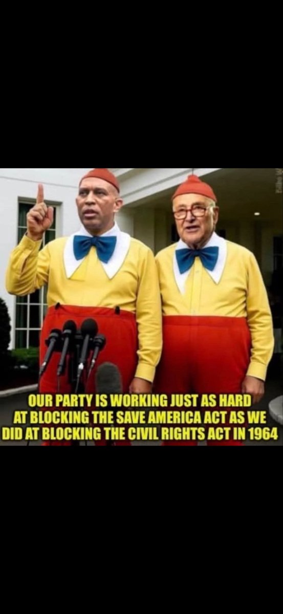 Primrose tweet media