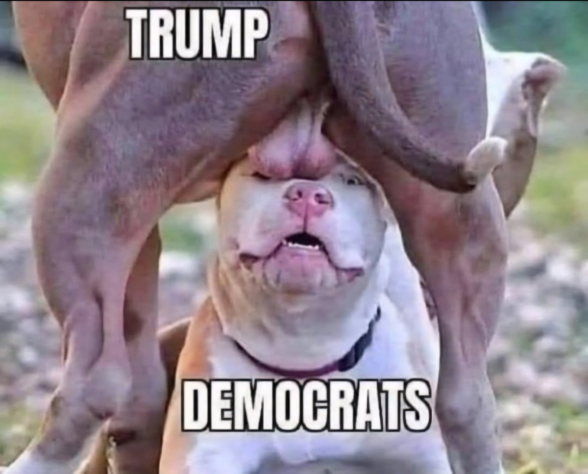 Brian J Jones 🇺🇸 tweet media