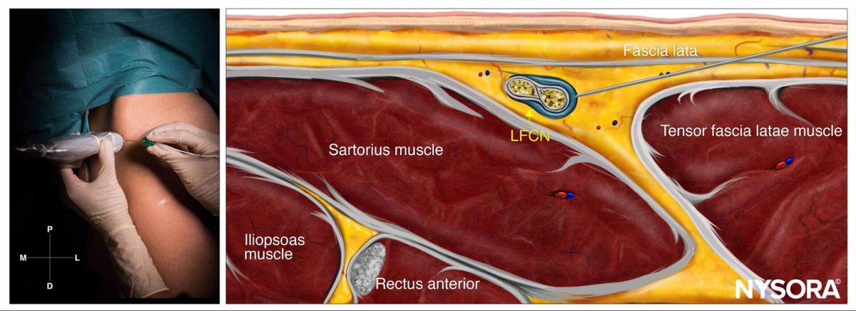 Medical Education tweet media