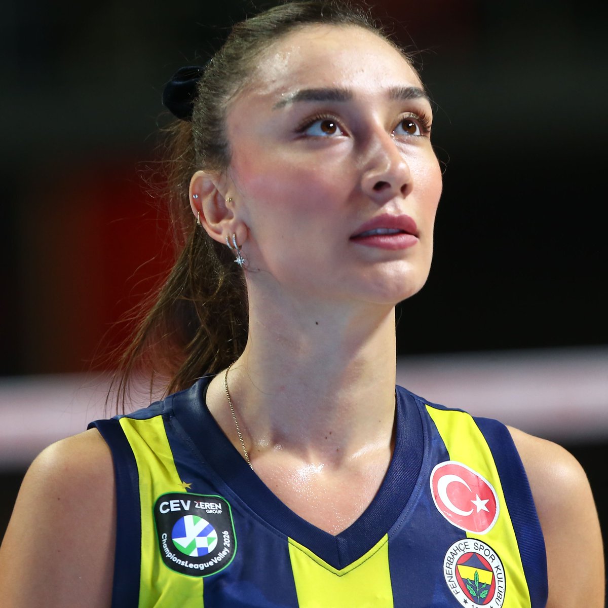 gibbybaris's tweet image. 📌 Hande Baladın'ın, Sultanlar Ligindeki şampiyonluk hasreti devam ediyor

🥈 2026
🥈 2024
🥈 2023
🥈 2018
🥉 2025
🥉 2022
🥉 2016
🥉 2014
4⃣. 2021
4⃣. 2019
4⃣. 2017