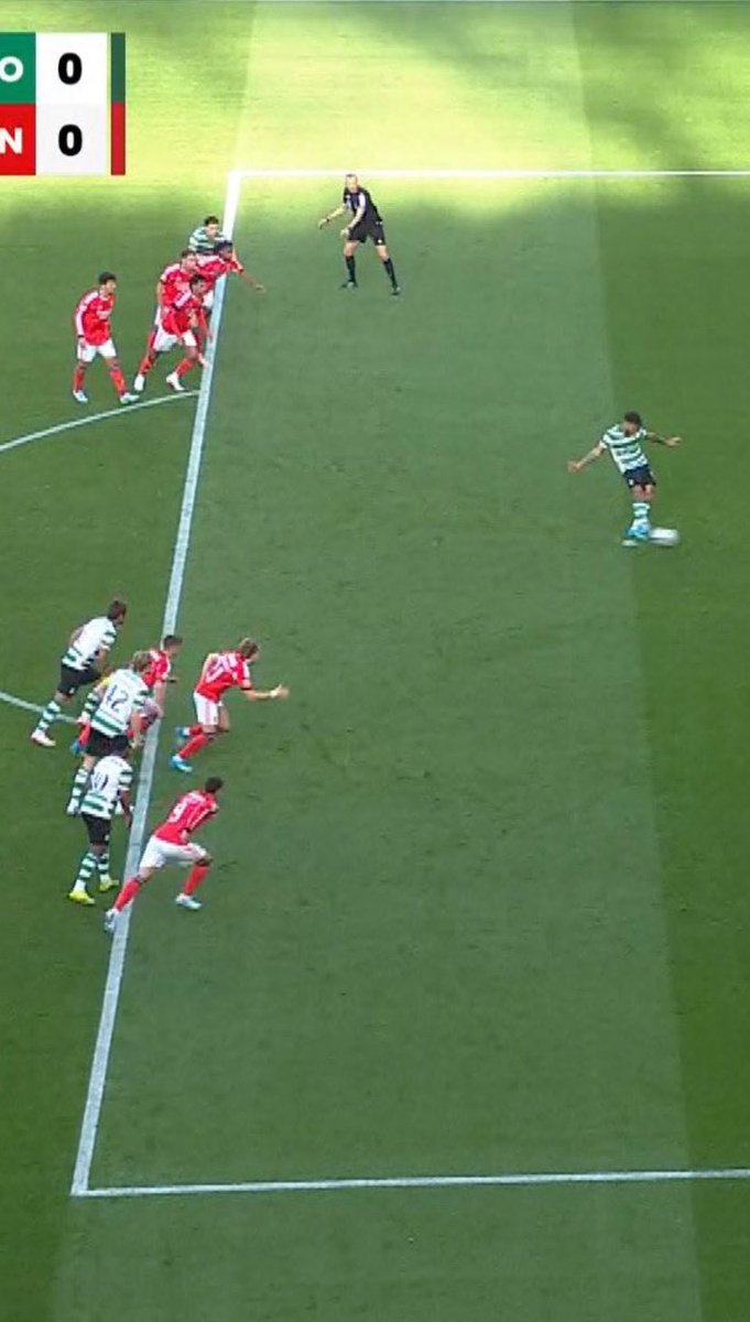 Pedro Miguel Paiva tweet media