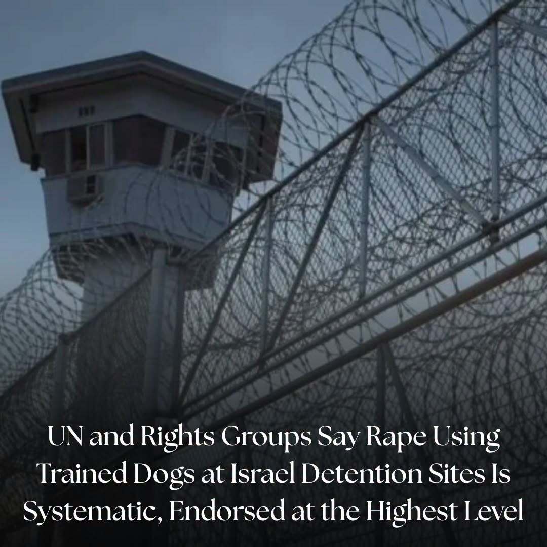 IBTimesUK's tweet image. Euro-Med Human Rights Monitor and UN findings highlight an alleged organised state policy of sexual violence against Palestinians in Israeli detention.

#WarCrimes #InternationalLaw #HumanRightsViolations 

Read More: ift.tt/tDEeCKJ