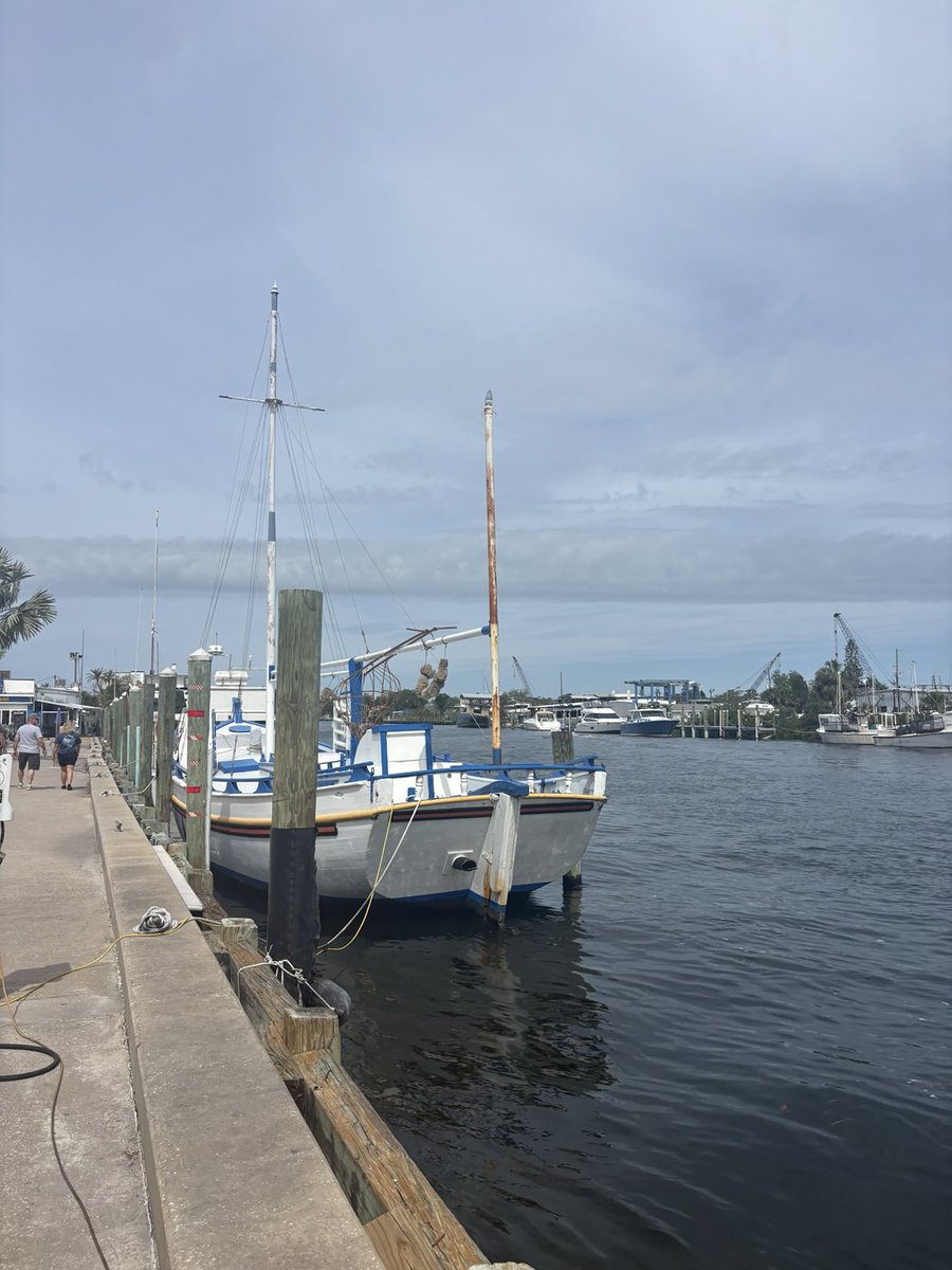 Diane Bee tweet media